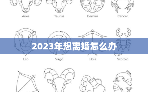 2023年想离婚怎么办(应该如何准备)