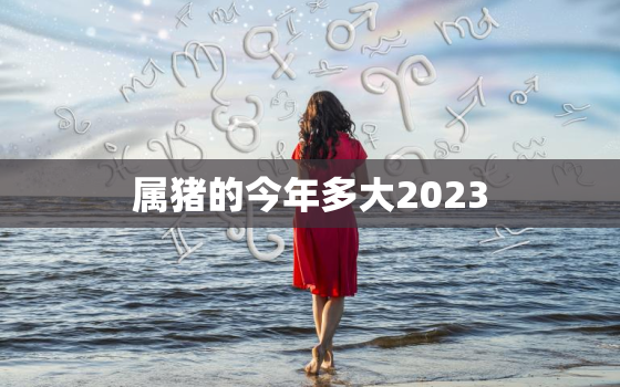 属猪的今年多大2023(猪年宝宝将迎来人生重要转折)