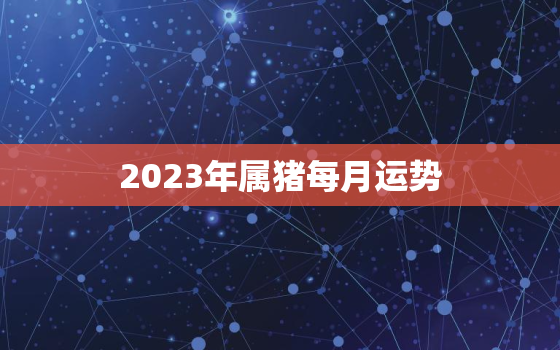 2023年属猪每月运势(猪年好运连连月月财源滚滚)