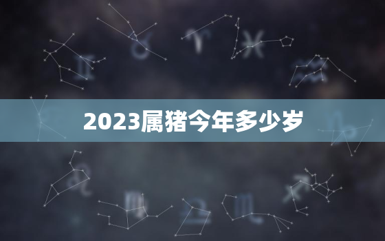 2023属猪今年多少岁(猪年人的年龄计算方法解析)