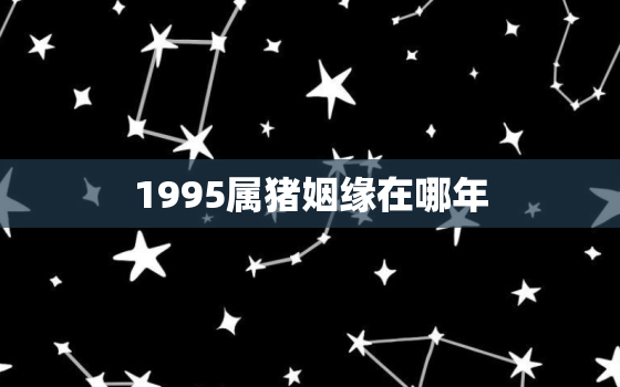 1995属猪姻缘在哪年(猪年猪运来爱情好时机)