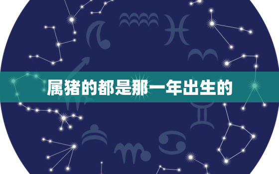 属猪的都是那一年出生的(猪年生肖解析)