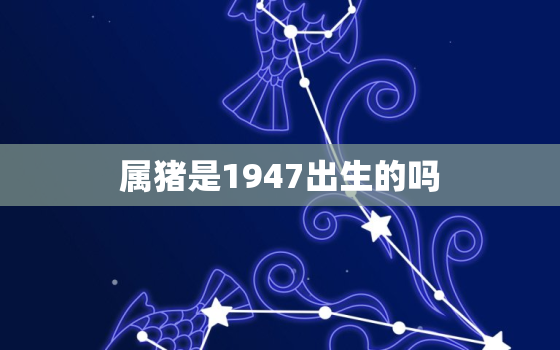 属猪是1947出生的吗(猪年出生人的命运解析)