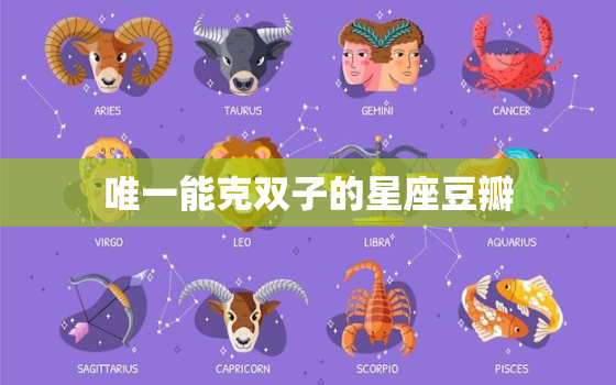 唯一能克双子的星座豆瓣(揭秘哪些星座能够战胜双子座)