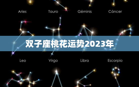 双子座桃花运势2023年(浪漫之年爱情甜蜜满满)