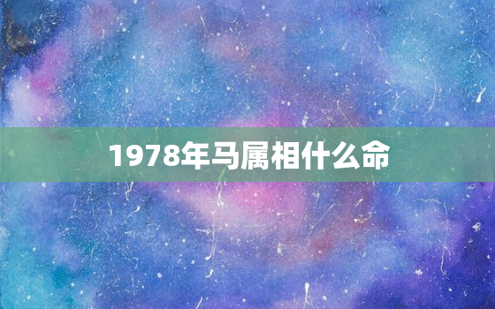 1978年马属相什么命(马到成功命中注定的好运)