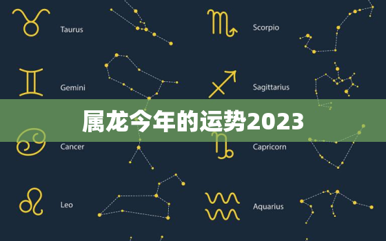 属龙今年的运势2023(大展宏图财运亨通)