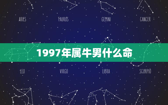 1997年属牛男什么命(命运如何)