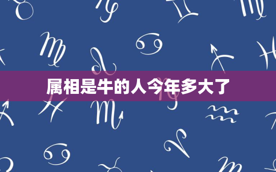 属相是牛的人今年多大了(2023年牛年生肖年龄计算方法)