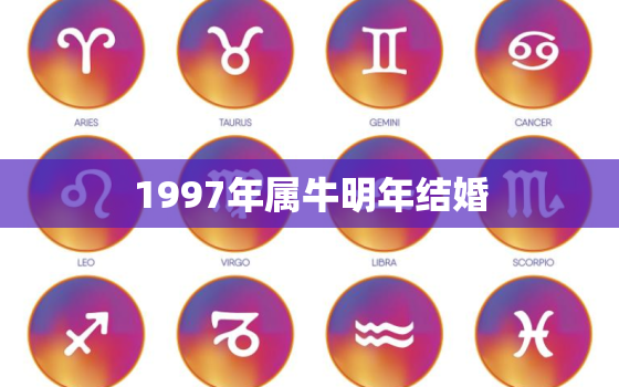 1997年属牛明年结婚(牛年婚礼热潮如何规划完美婚礼)