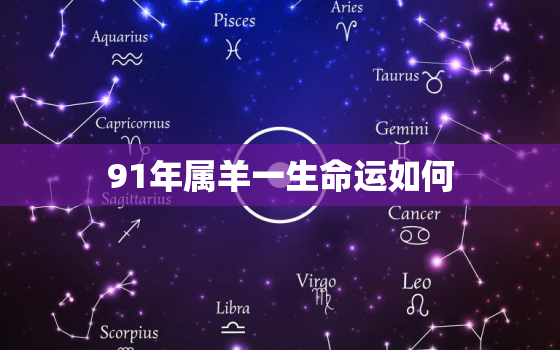 91年属羊一生命运如何(探寻属羊人的未来命运)