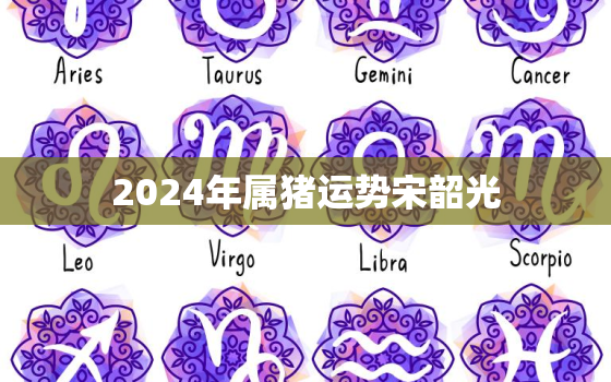 2024年属猪运势宋韶光(猪年大吉财运亨通)