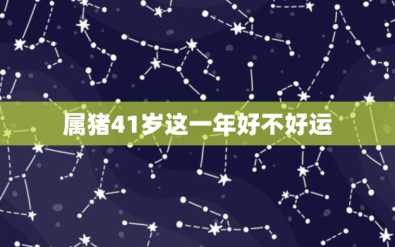 属猪41岁这一年好不好运(解析猪年运势41岁运势如何度过41岁生日)