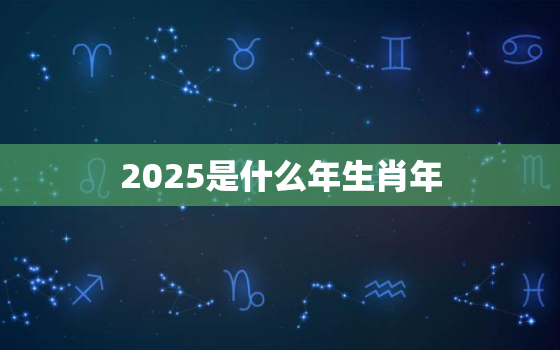 2025是什么年生肖年(探寻中国传统文化中的十二生肖之谜)