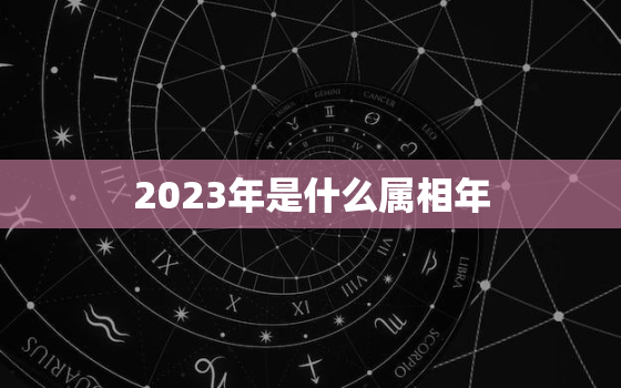 2023年是什么属相年(探寻中国传统文化中的十二生肖)