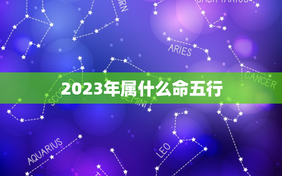 2023年属什么命五行(探寻2023年生肖五行属性助你顺应时势)