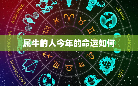 属牛的人今年的命运如何(2023年牛年运势解析)