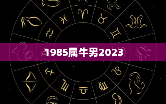 1985属牛男2023(未来三年运势展望)