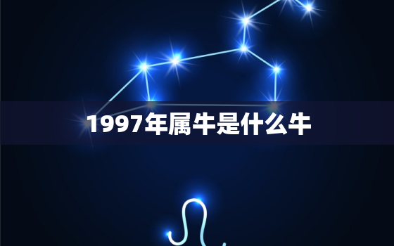 1997年属牛是什么牛(解析属牛人的性格特点和命运走向)