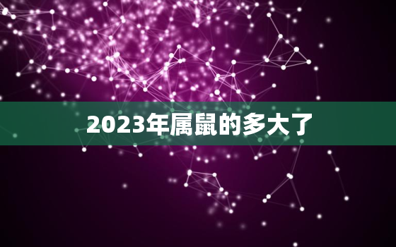 2023年属鼠的多大了(属鼠人的年龄计算方法及特点)