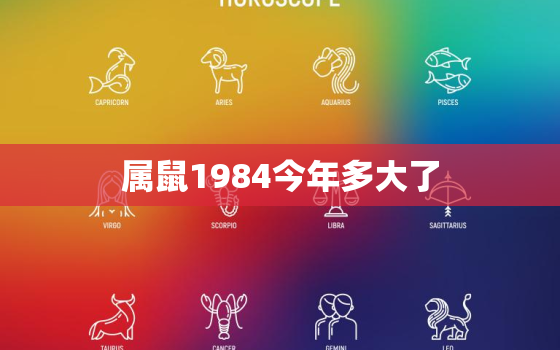 属鼠1984今年多大了(如何预测属鼠人的命运)