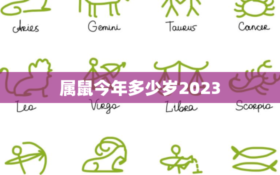 属鼠今年多少岁2023(猪年过去鼠年来临你的年龄又增加了吗)