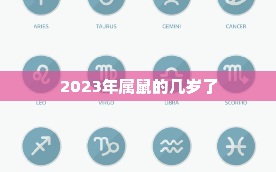 2023年属鼠的几岁了(你准备好了吗)