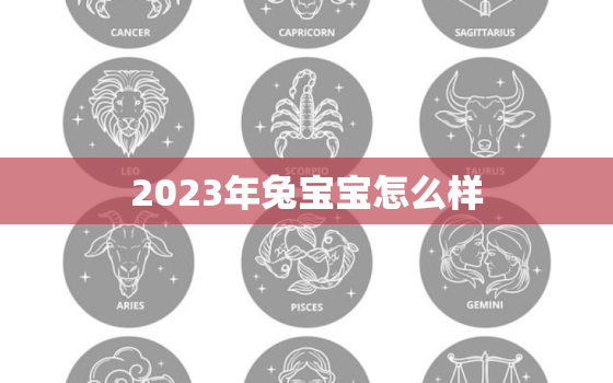 2023年兔宝宝怎么样(预测可爱迷人受欢迎程度不减)