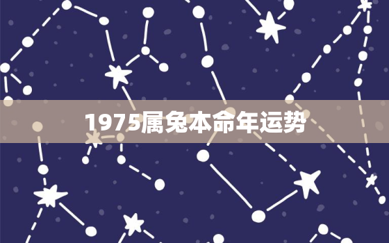 1975属兔本命年运势(兔子们今年财运亨通)