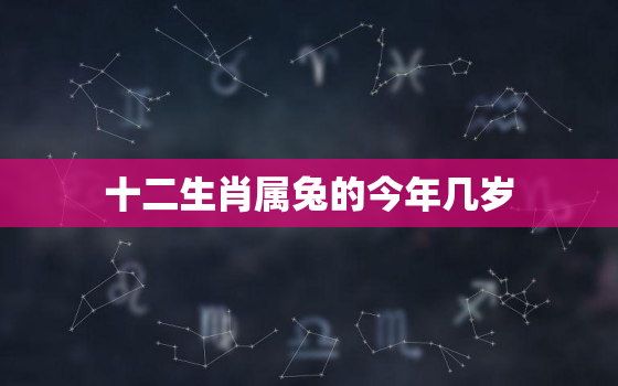 十二生肖属兔的今年几岁(2023年属兔人运势如何)