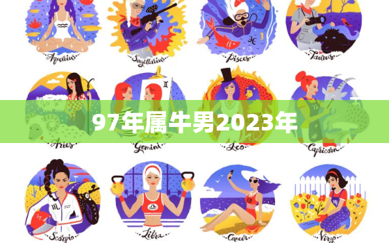 97年属牛男2023年(未来三年的事业发展展望)