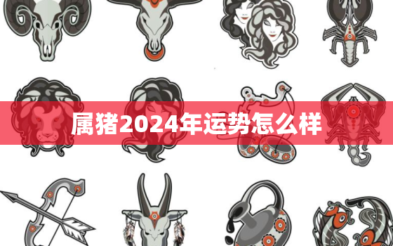 属猪2024年运势怎么样(猪年大吉财运亨通)