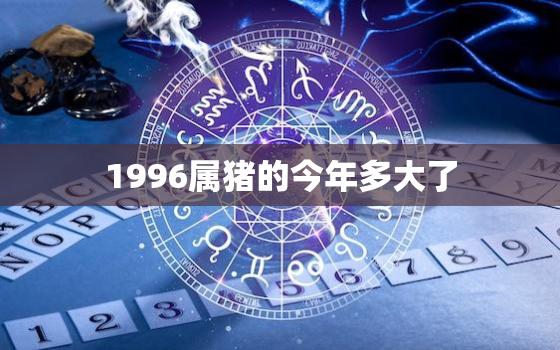 1996属猪的今年多大了(猪年本命人迎来25岁生日)