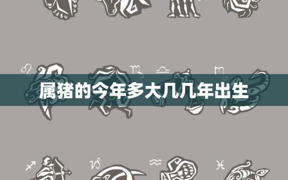 属猪的今年多大几几年出生(你的猪年运势如何)