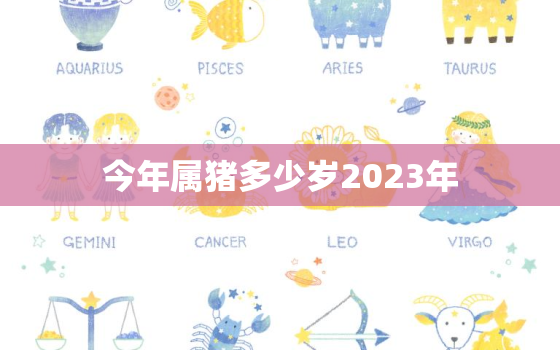 今年属猪多少岁2023年(猪年人的年龄计算方法解析)