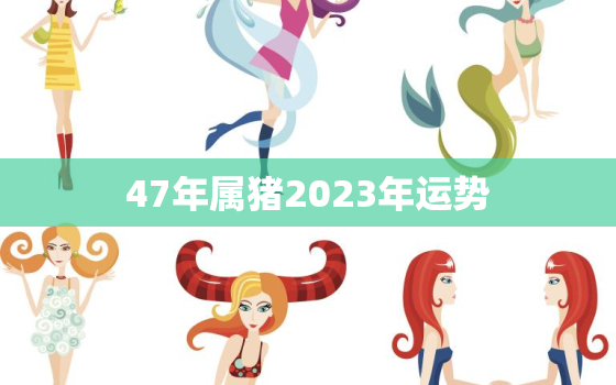 47年属猪2023年运势(猪年大吉财运亨通)