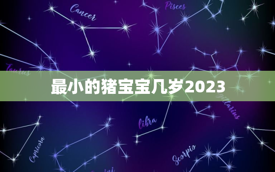 最小的猪宝宝几岁2023(猪年春节将至你知道吗)