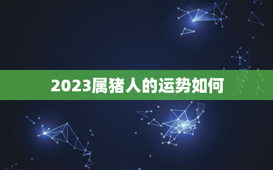 2023属猪人的运势如何(猪年大吉财运亨通)