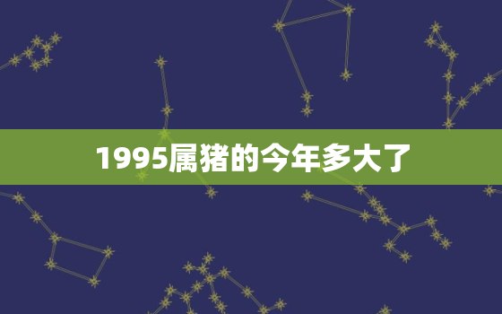 1995属猪的今年多大了(猪年宝宝已经成年你知道他们现在多大了吗)