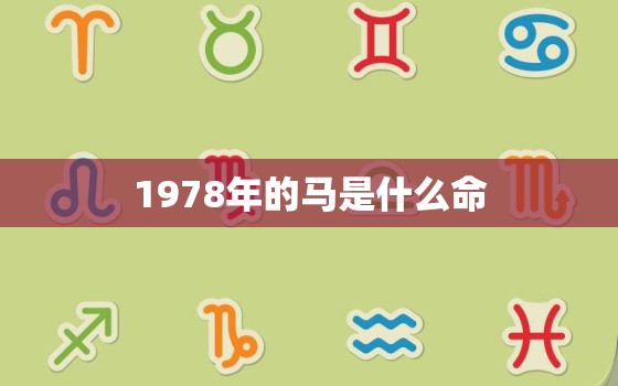 1978年的马是什么命(解析属马人的命运走向)