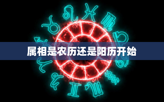 属相是农历还是阳历开始(农历和阳历哪个决定了你的属相)