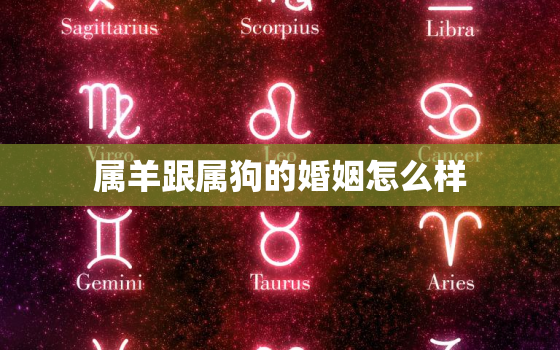 属羊跟属狗的婚姻怎么样(幸福美满还是磨合不易)