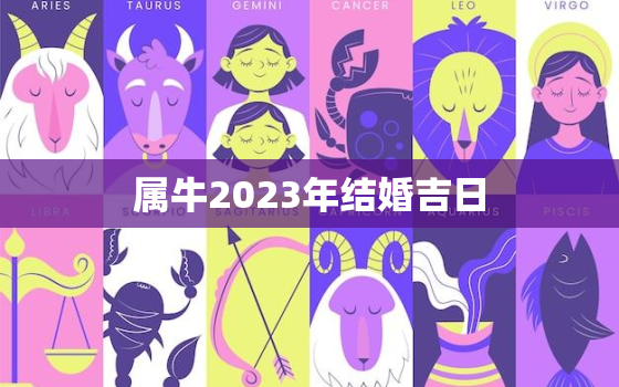 属牛2023年结婚吉日(如何选择最佳结婚日期)