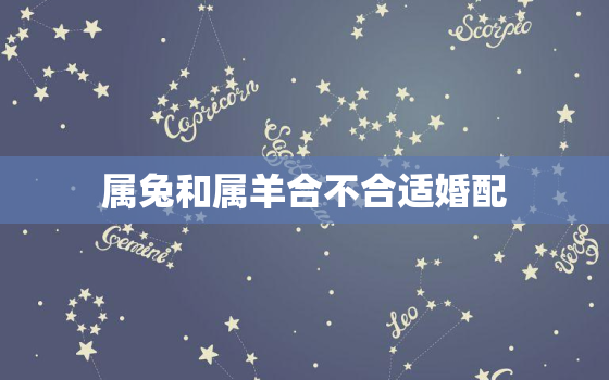 属兔和属羊合不合适婚配(星座专家揭秘)