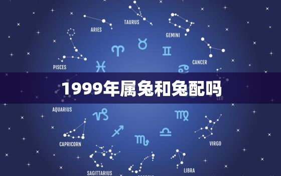 1999年属兔和兔配吗(属兔的你和兔子真的是最佳拍档吗)