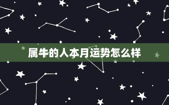 属牛的人本月运势怎么样(牛年五月财运亨通)