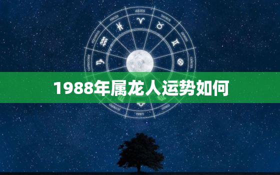 1988年属龙人运势如何(幸运星照耀财运亨通)