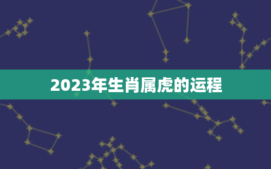 2023年生肖属虎的运程(好运连连财源滚滚)