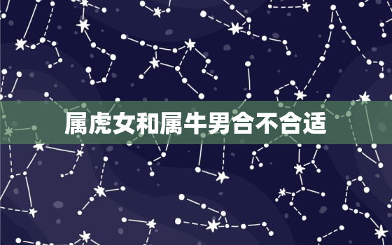 属虎女和属牛男合不合适(星座配对分析)