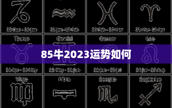 85牛2023运势如何(牛年运势大揭秘)